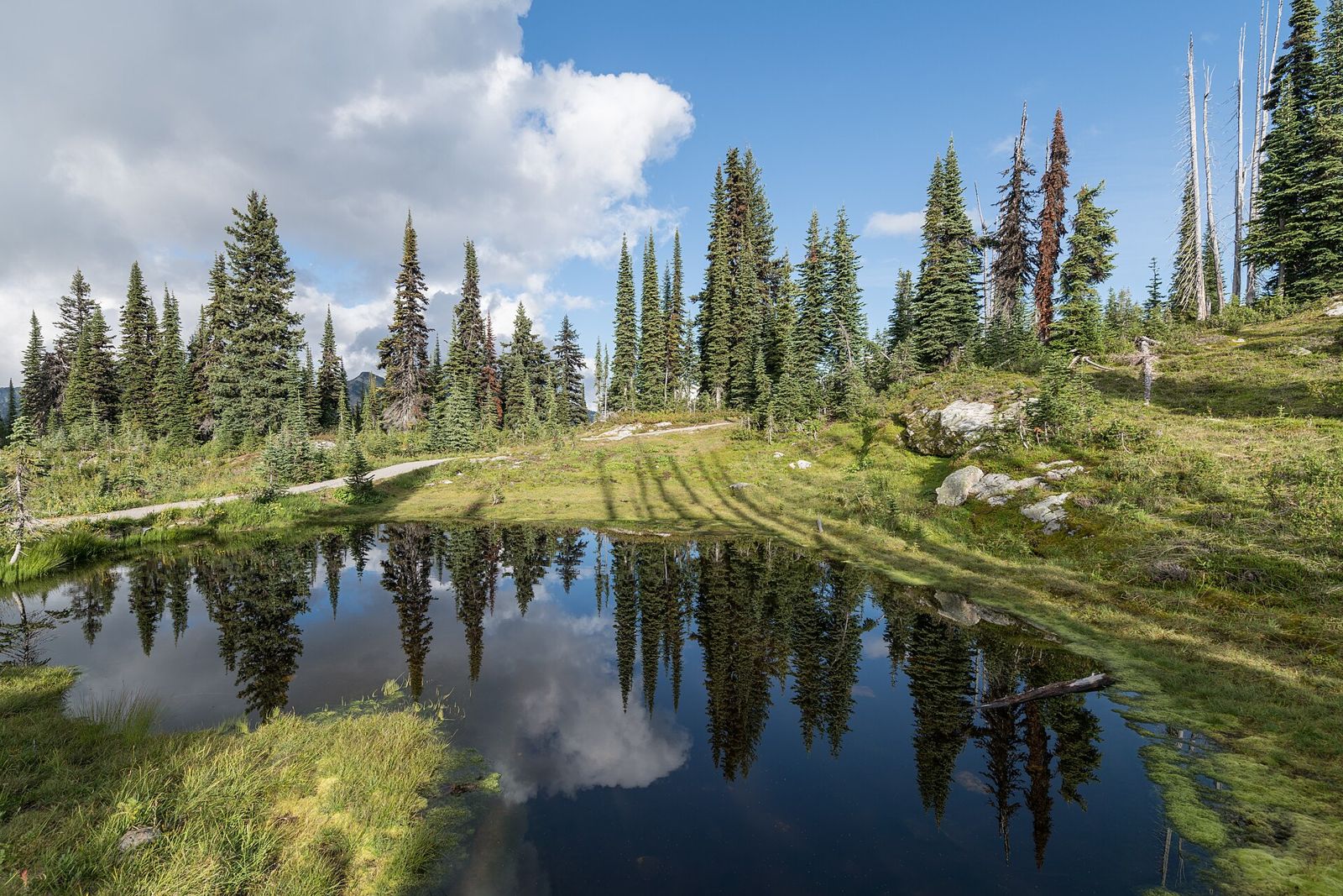Revelstoke